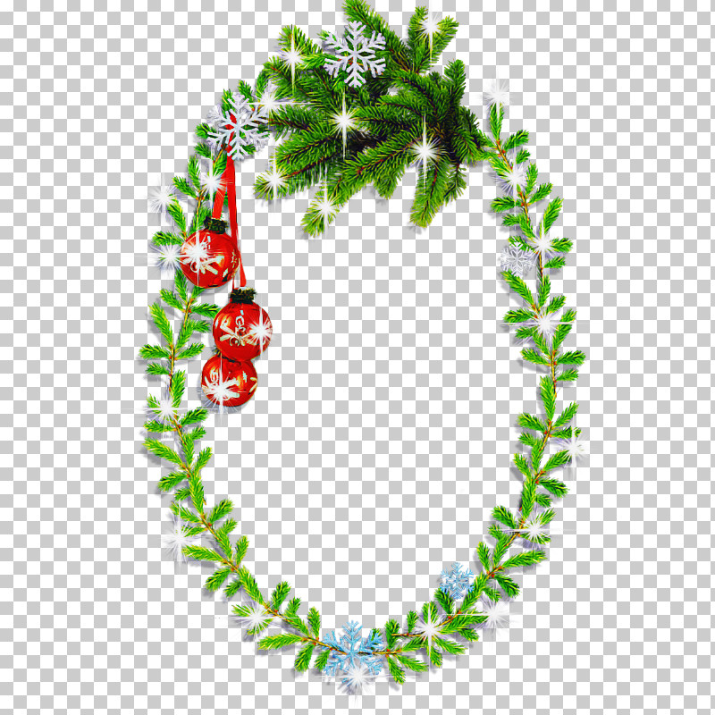 Holly PNG, Clipart, Flower, Holly, Leaf, Lei, Plant Free PNG Download