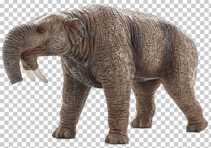 African Elephant Indian Elephant Deinotherium Tusk PNG, Clipart, African Elephant, Animal Figure, Animal Planet, Animals, Celebrity Free PNG Download