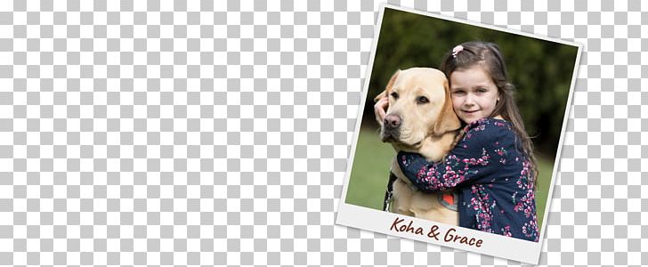Dog Puppy Love Frames Brand PNG, Clipart, Animals, Brand, Dog, Dog Like Mammal, Guide Dogs Free PNG Download
