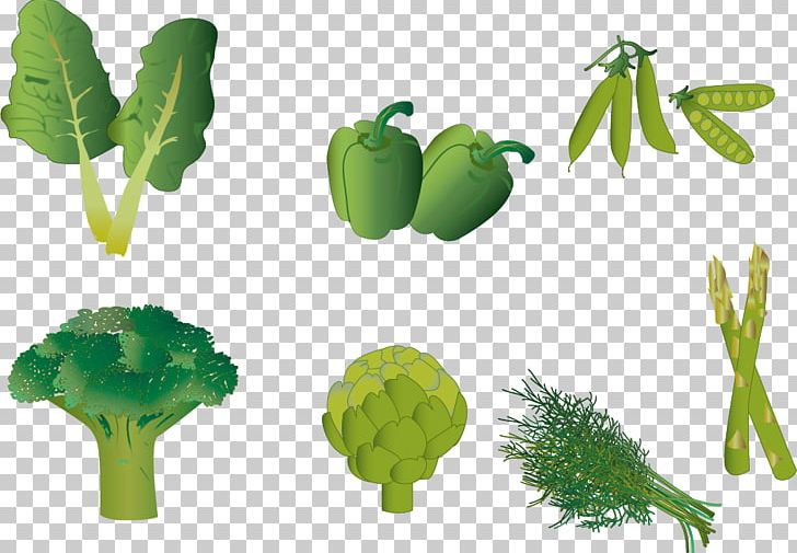 Leaf Euclidean PNG, Clipart, Adobe Illustrator, Banana Leaves, Cauliflower, Cook, Cooking Free PNG Download