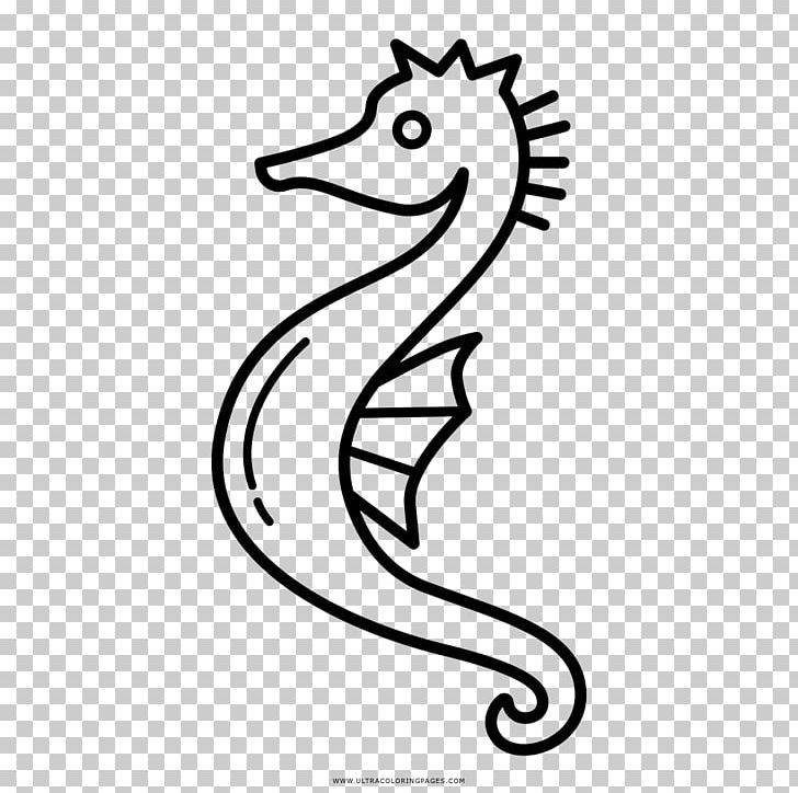 Seahorse Drawing Coloring Book PNG, Clipart, Animal, Animals, Black And White, Caballo, Coloring Book Free PNG Download
