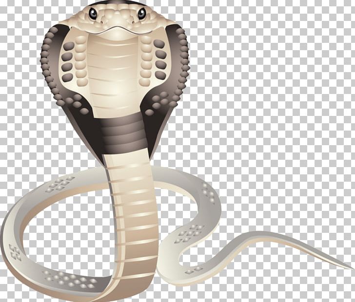 Snake Computer Icons PNG, Clipart, Animals, Cobra, Computer, Computer Icons, Desktop Wallpaper Free PNG Download