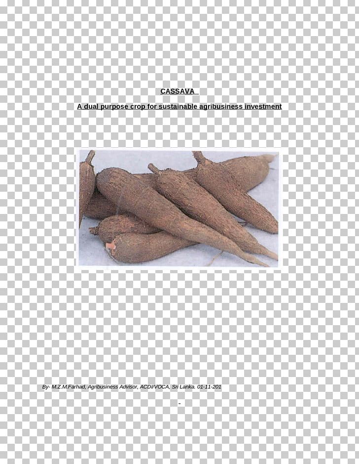 Angle PNG, Clipart, Angle, Cassava, Lanka, Producer, Religion Free PNG Download