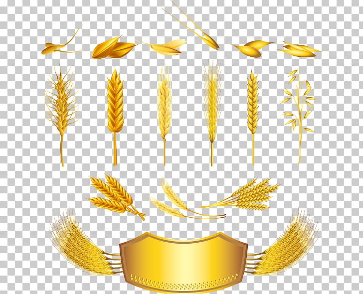 Cereal Wheat Ear PNG, Clipart, Barley, Bread, Bread Vector, Christmas Decoration, Commodity Free PNG Download