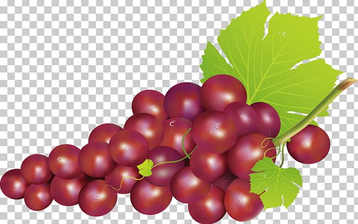 Grape Seedless Fruit Food PNG, Clipart, Cherry, Christmas Decoration, Currant, Decor, Decoration Design Free PNG Download