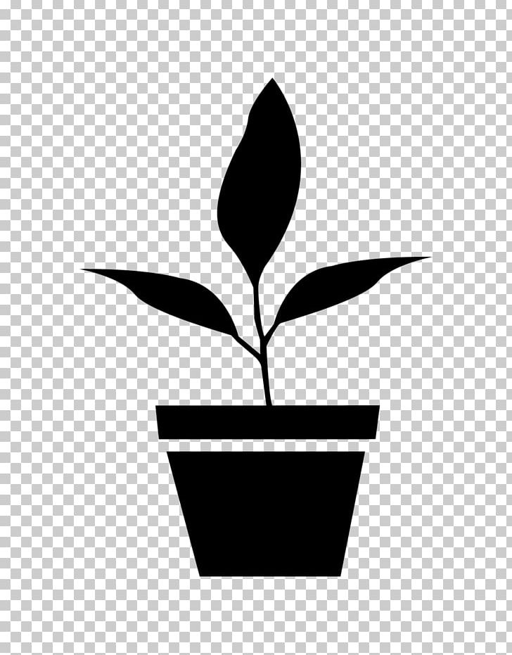 Grow Shop Flowerpot NATIVOS DE CHACAYES Fertilisers Nursery PNG, Clipart, Black And White, Branch, Fertilisers, Flora, Flower Free PNG Download