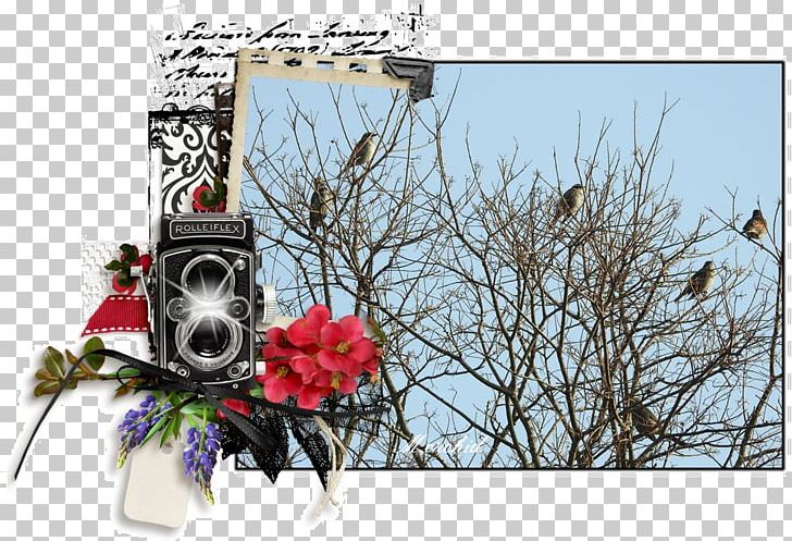 Stock Photography Frames PNG, Clipart, Branch, Flora, Flower, Mustard, Mustard Flower Free PNG Download
