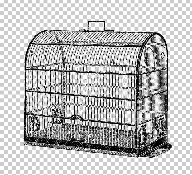 Birdcage Antique PNG, Clipart, Animals, Antique, Bird, Birdcage, Black And White Free PNG Download