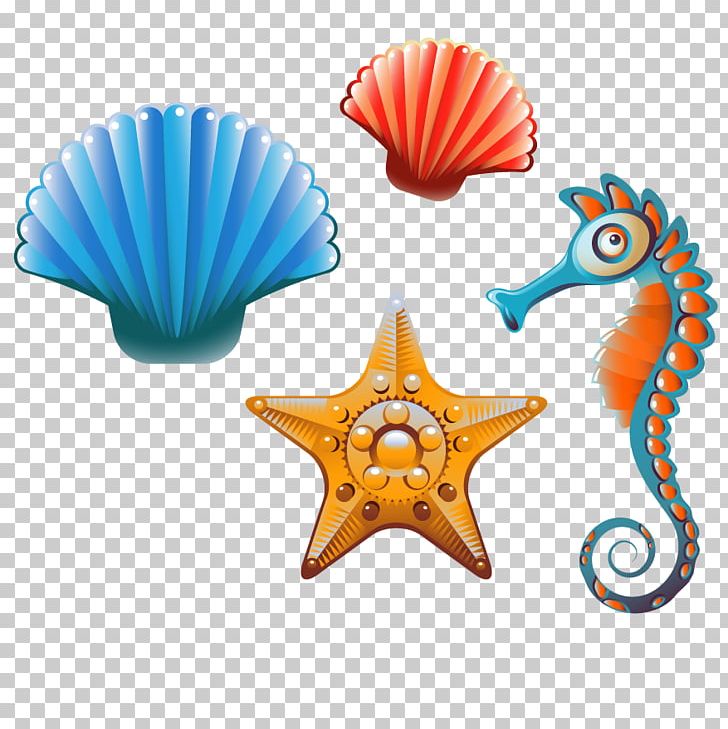 Clam Seashell Cartoon PNG, Clipart, Class, Class Vector, Creative, Creative Background, Creative Graphics Free PNG Download
