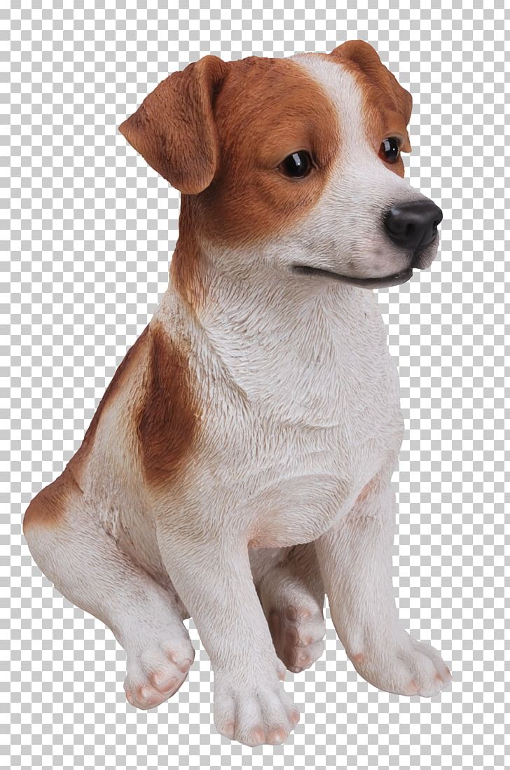 Jack Russell Terrier Parson Russell Terrier Dog Breed Miniature Fox Terrier Tenterfield Terrier PNG, Clipart, Animals, Carnivoran, Companion Dog, Dog Breed, Dog Breed Group Free PNG Download