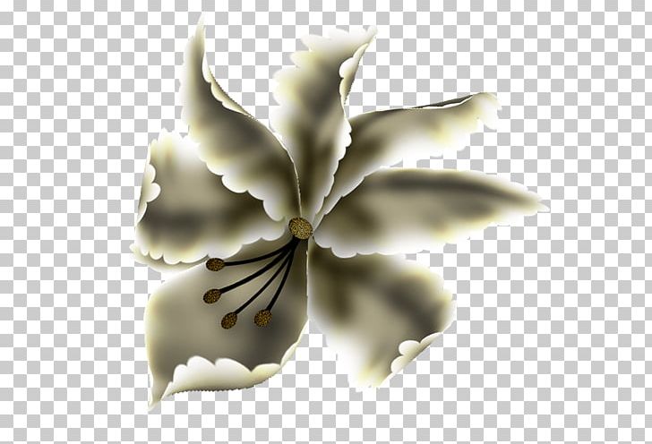 Page PNG, Clipart, Flower, Others, Page, Petal, Plant Free PNG Download