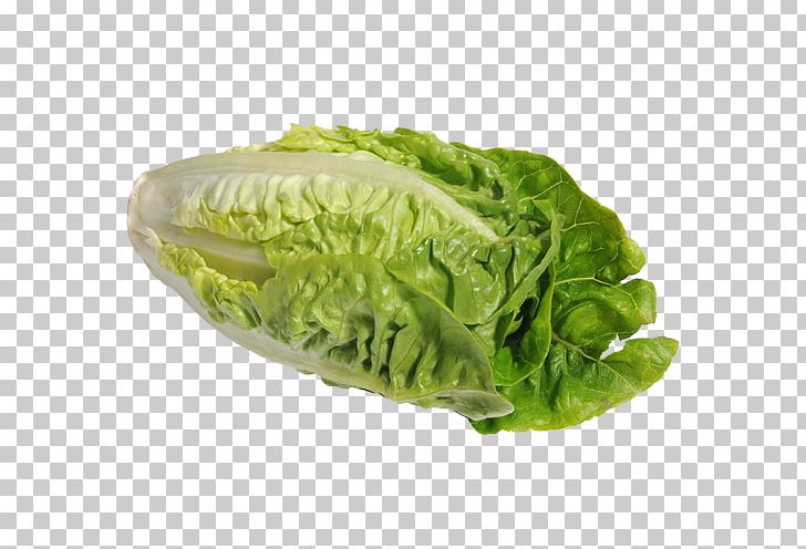 Romaine Lettuce Red Leaf Lettuce Vegetarian Cuisine Wrap Food PNG, Clipart, Cabbage, Chard, Collard Greens, Food, Kale Free PNG Download