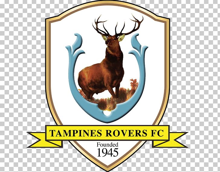 Tampines Rovers FC Hougang United FC 2018 Singapore Premier League Balestier Khalsa FC Albirex Niigata Singapore FC PNG, Clipart, 2018 Singapore Premier League, Antler, Asian Football Confederation, Balestier Khalsa Fc, Deer Free PNG Download