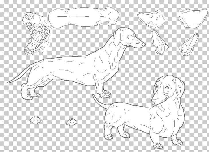 Dog Breed Line Art Sketch PNG, Clipart, Angle, Animals, Artwork, Black And White, Breed Free PNG Download