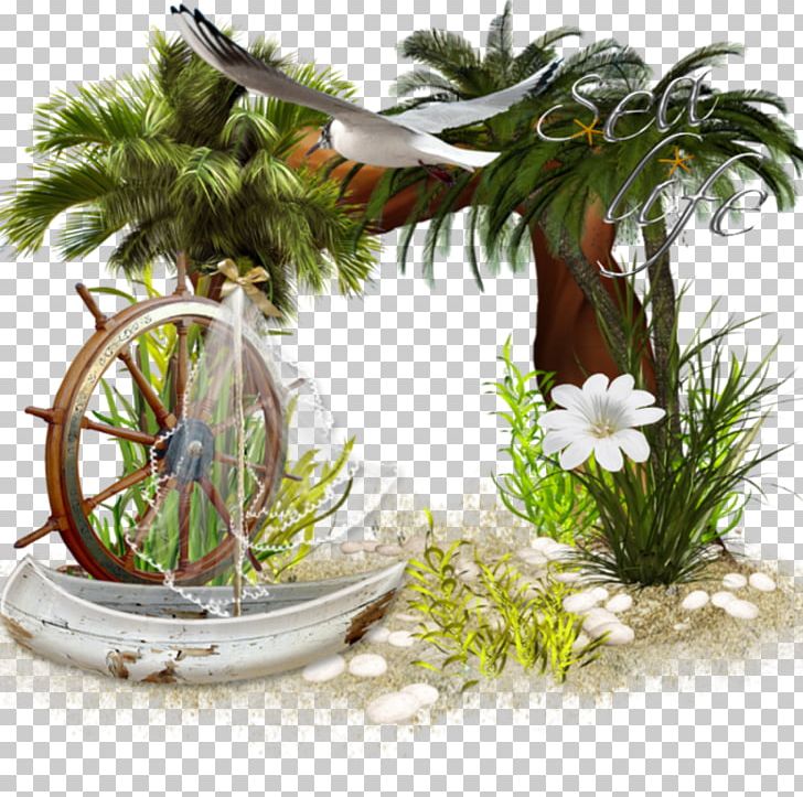 Photomontage Frames Photography Blog PNG, Clipart, Adobe Systems, Arecales, Blog, Desktop Wallpaper, Evergreen Free PNG Download