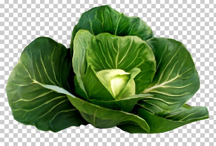 Red Cabbage Cauliflower PNG, Clipart, Brassica Oleracea, Broccoli, Cabbage, Cabbage Family, Cabbage Leaves Free PNG Download