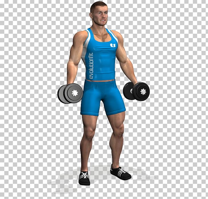 Weight Training Biceps Curl Dumbbell Barbell PNG, Clipart, Abdomen, Active Undergarment, Arm, Bodybuilder, Boxing Glove Free PNG Download