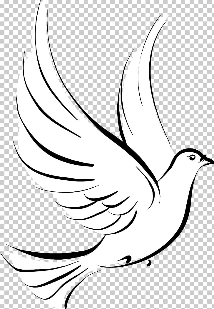 Columbidae Stencil Drawing PNG, Clipart, Art Museum, Artwork, Beak, Bird, Black And White Free PNG Download