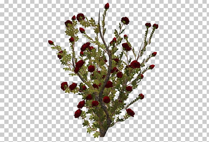 Cut Flowers Flowering Plant PNG, Clipart, Branch, Cut Flowers, Flower, Flowering Plant, Guzel Sozler Free PNG Download
