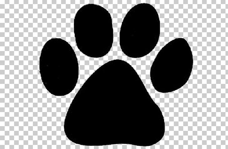 Dog Cat Paw Pet PNG, Clipart, Animal Rescue Group, Animals, Black, Black And White, Cat Free PNG Download