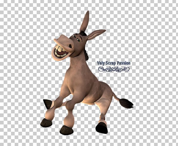 Donkey Drawing Aasi PNG, Clipart, Animal Figure, Animals, Asinus, Donkey, Drawing Free PNG Download