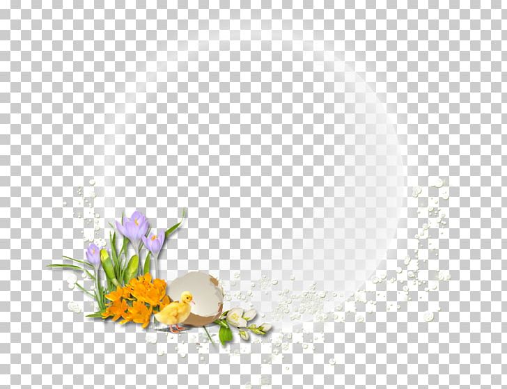 Floral Design Flowering Plant Desktop Computer PNG, Clipart, Art, Computer, Computer Wallpaper, Desktop Wallpaper, Flora Free PNG Download