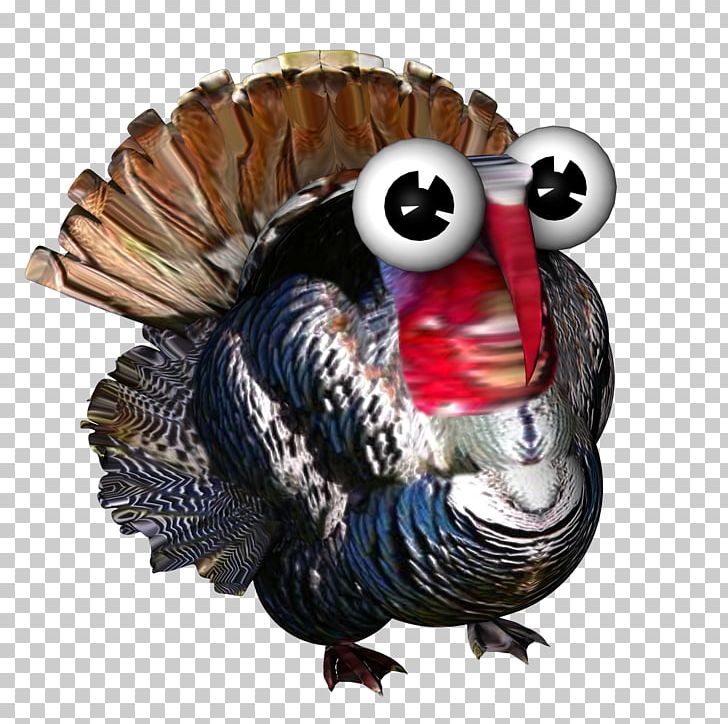 Farmerama Turkey Bigpoint Games Galliformes .de PNG, Clipart, Animal, Beak, Bigpoint Games, Bird, Com Free PNG Download