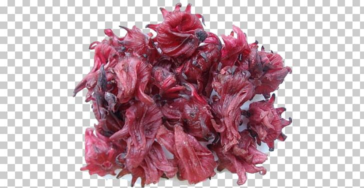 Hibiscus Tea Flower Roselle Dried Fruit PNG, Clipart, Artificial Flower, Dried Fruit, Flower, Flowering Tea, Food Free PNG Download