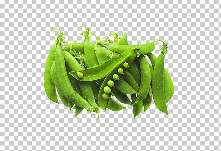 Snow Pea Vegetable Bean U30b5u30e4u30a8u30f3u30c9u30a6 Kitchen Garden PNG, Clipart, Broad Bean, Budi Daya, Butterfly Pea, Edamame, Food Free PNG Download