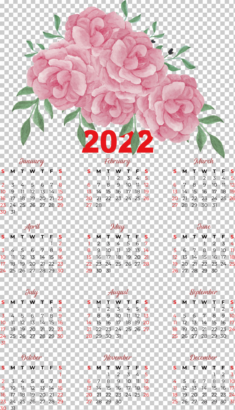 Floral Design PNG, Clipart, Biology, Calendar, Floral Design, Meter, Petal Free PNG Download