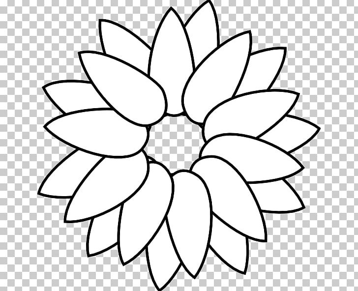 Common Sunflower Drawing PNG, Clipart, Area, Black, Black And White, Circle, Color Free PNG Download