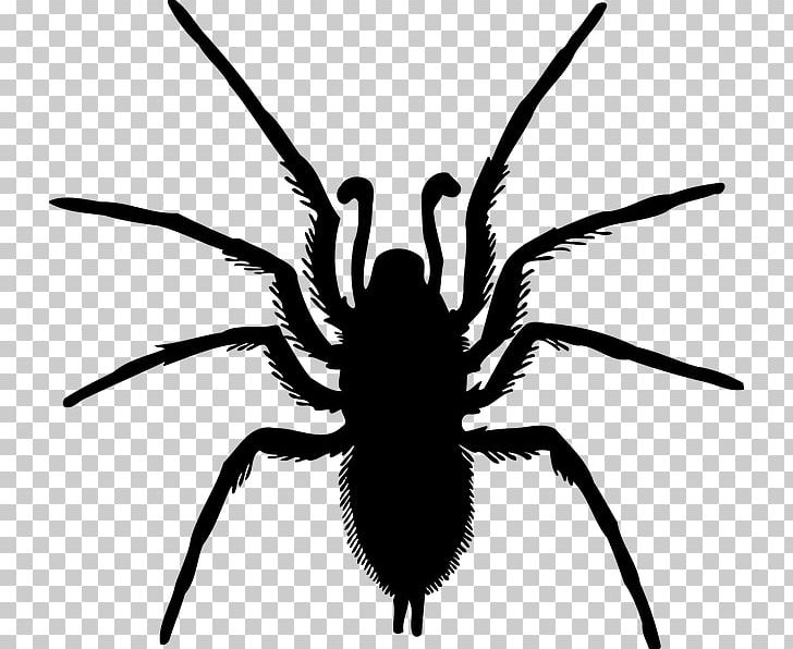 Spider Arthropod Die Insekten PNG, Clipart, Arachnid, Arthropod, Black And White, Black House Spider, Computer Icons Free PNG Download