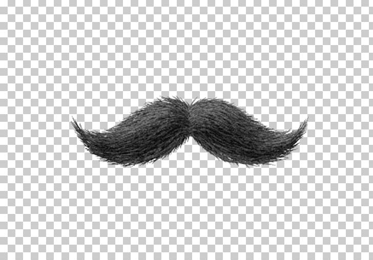 World Beard And Moustache Championships Handlebar Moustache Black Hair PNG, Clipart, Beard, Bicycle Handlebars, Black Hair, Fake Moustache, Fashion Free PNG Download