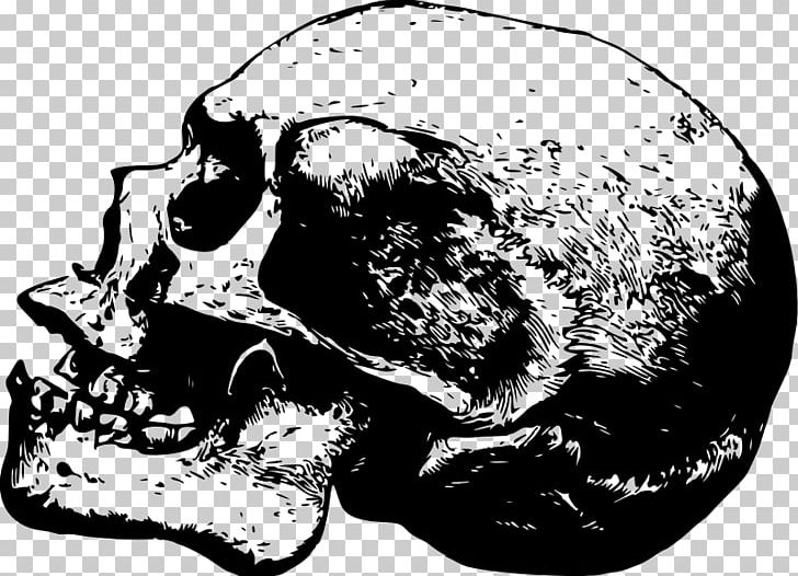 Skull & Bones Desktop Skull & Bones Drawing PNG, Clipart, Black And White, Bone, Computer Icons, Dead, Desktop Wallpaper Free PNG Download