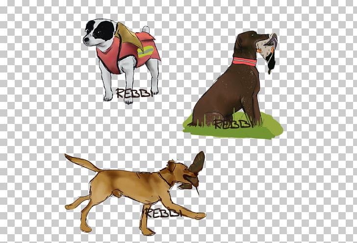 Dog Breed Puppy Leash Snout PNG, Clipart, Animals, Breed, Carnivoran, Crossbreed, Dog Free PNG Download