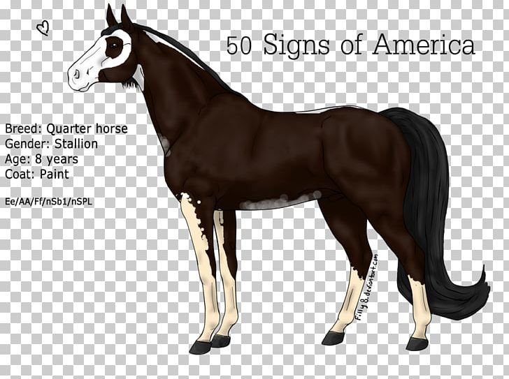 Stallion Pony Mare Foal Mustang PNG, Clipart,  Free PNG Download