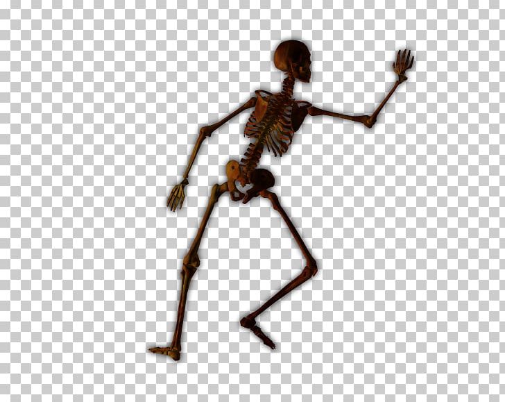 Human Skeleton Joint Bone Figurine PNG, Clipart, Bone, Cadaver, Computer Software, Dragon, Fantasy Free PNG Download