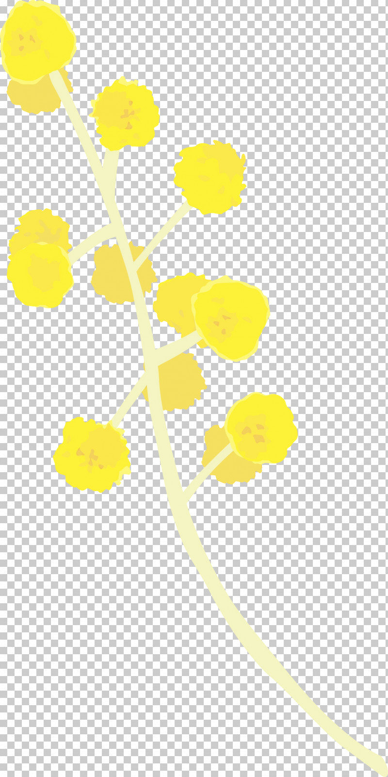 Yellow Line Plant Flower PNG, Clipart, Flower, Line, Paint, Plant, Watercolor Free PNG Download