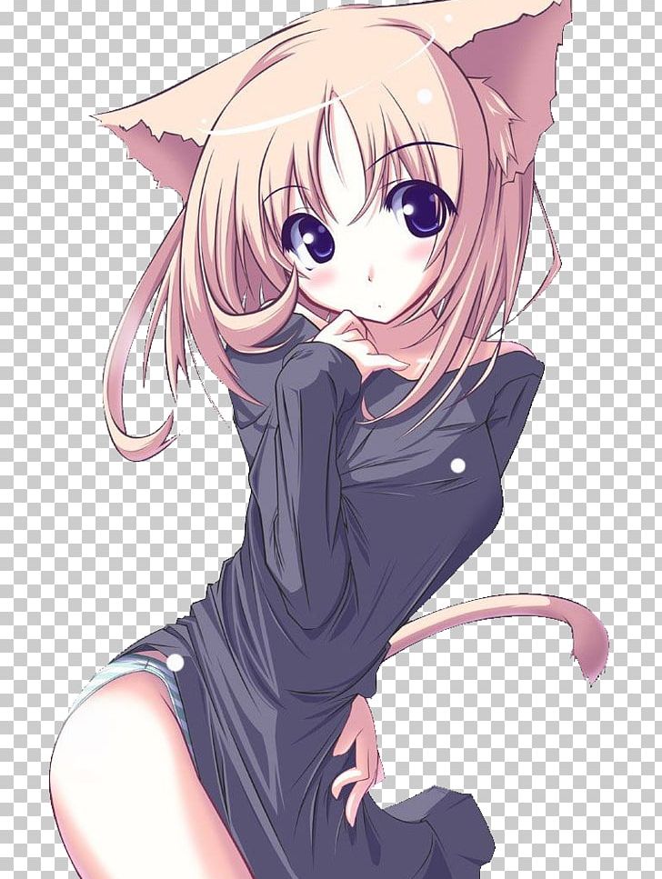 Catgirl Anime Desktop PNG, Clipart, 1080p, Animals, Black Hair, Cartoon, Cg Artwork Free PNG Download