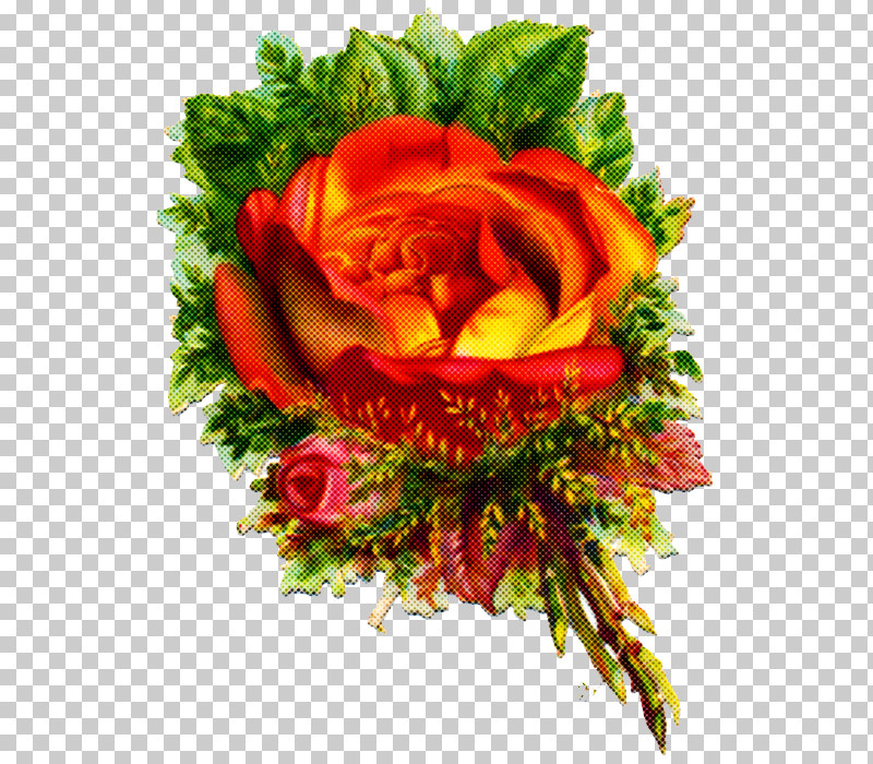 Floral Design PNG, Clipart, Cut Flowers, Floral Design, Flower, Flower Bouquet, Garden Free PNG Download