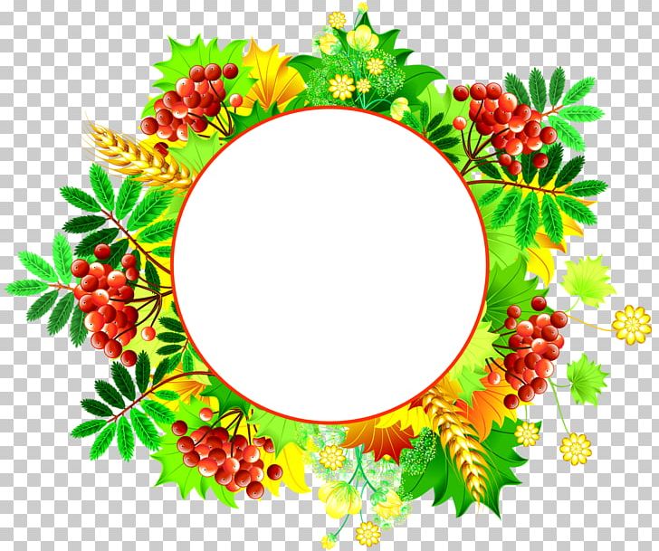 Flower Floral Design Leaf Food PNG, Clipart, Border Frames, Circle, Floral Design, Flower, Flowering Plant Free PNG Download