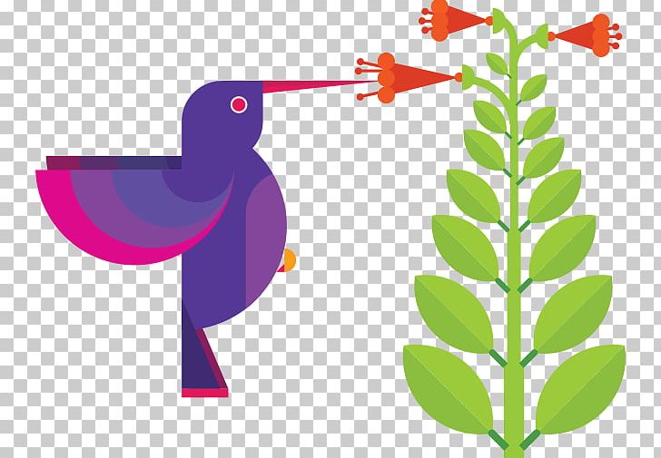 Graphic Design Hummingbird PNG, Clipart, Art, Auto Rickshaw, Beak, Bird, Branch Free PNG Download
