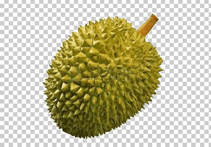 Thai Cuisine Durio Zibethinus Fruit PNG, Clipart, Artocarpeae, Breadnut, Clip Art, Desktop Wallpaper, Durian Free PNG Download