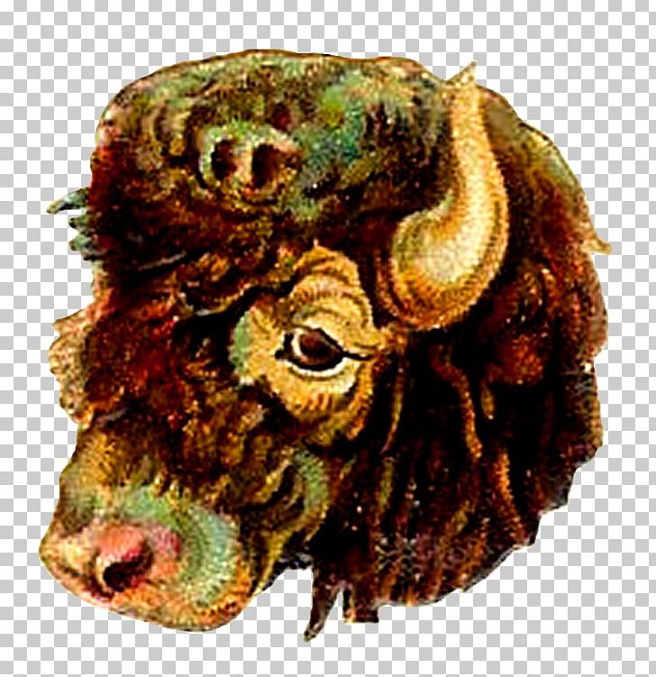 Cattle Wild Boar Ox Asian Elephant Animal PNG, Clipart, Animal, Animals, Asian Elephant, Boar, Cattle Free PNG Download
