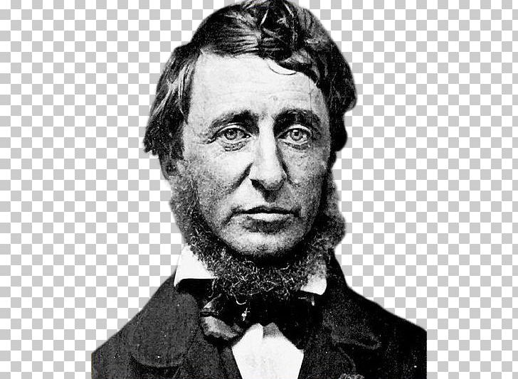 Henry David Thoreau Walden Pond Author Writer PNG, Clipart, Author, Beard, Black And White, Book, Chin Free PNG Download