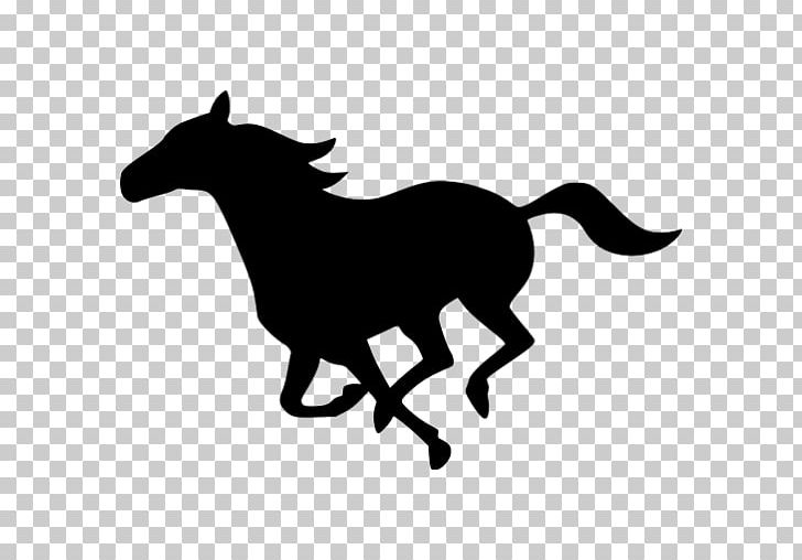 Pony Mustang Gray White Equestrian PNG, Clipart, Black, Black And White, Carnivoran, Colt, Computer Icons Free PNG Download