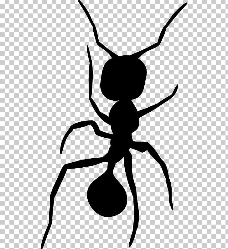 Ant Insect Silhouette PNG, Clipart, Animals, Ant, Ant Clipart, Artwork, Black And White Free PNG Download