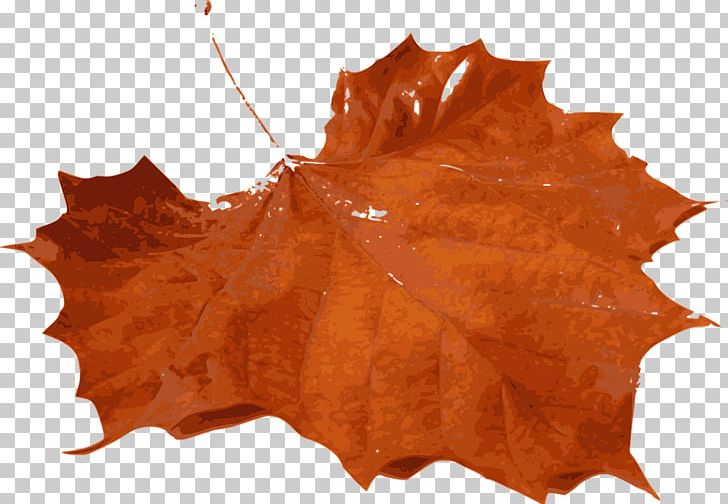 Autumn Leaf Color PNG, Clipart, Autumn, Autumn Leaf Color, Color, Computer Icons, Desktop Wallpaper Free PNG Download