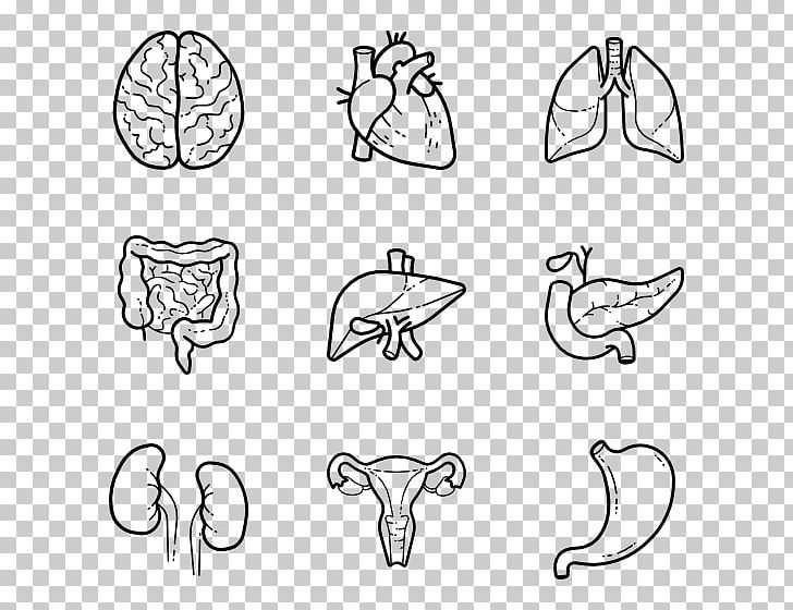 Computer Icons Human Body PNG, Clipart, Anatomy, Angle, Area, Arm, Art Free PNG Download