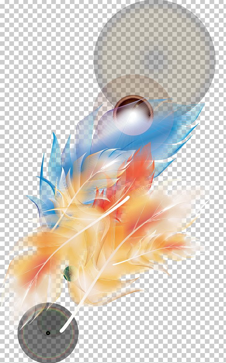 Feather PNG, Clipart, Animals, Art, Color, Computer Graphics, Computer Icons Free PNG Download